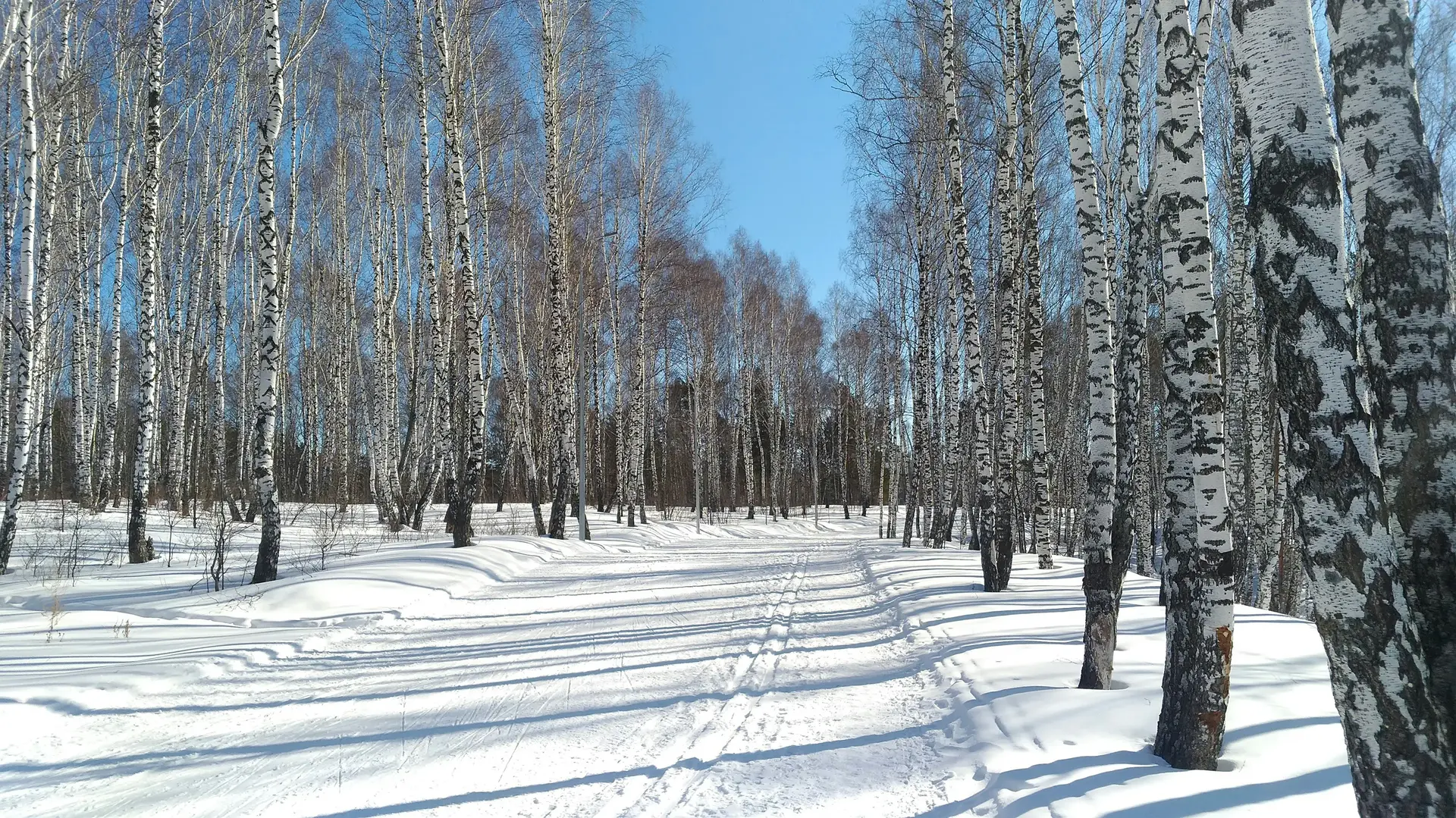 Путовање зими