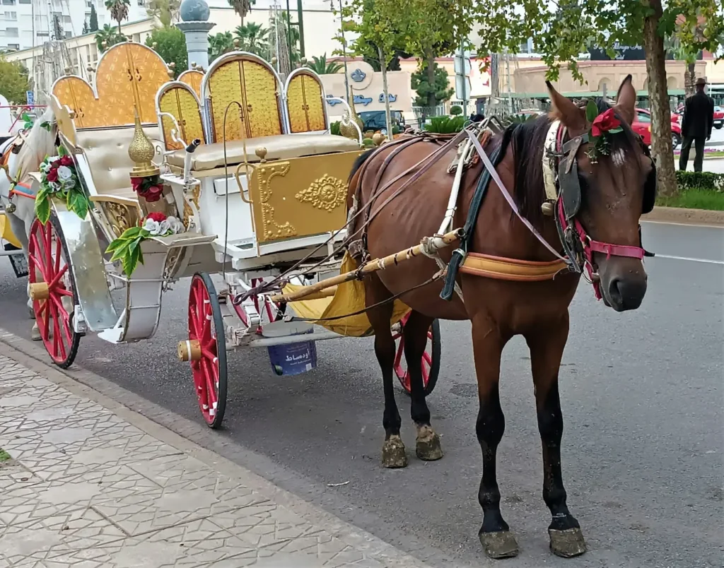 Туристичка агенција Тест